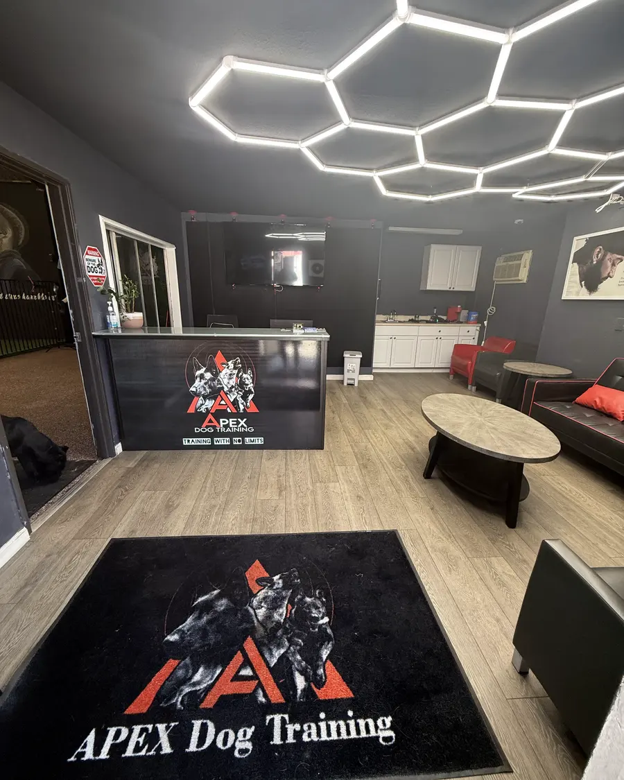 The Apex reception area, with the branded rug and the front desk